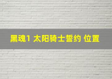 黑魂1 太阳骑士誓约 位置